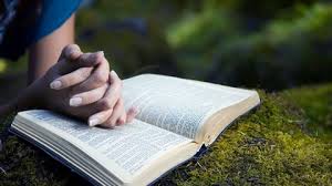 Learn to Become a Bible Study Pro! (All levels)